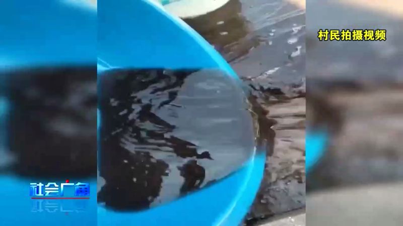 硝化细菌崩溃水质变浑怎么办,家里鱼池水质变浑怎么办