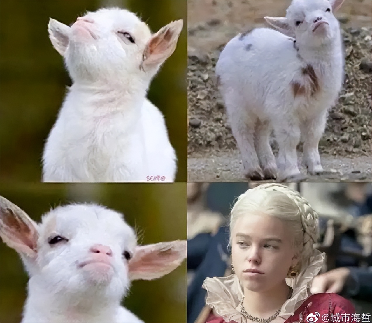 尺度神剧口碑回升8.8，死抓反转终极密码，观众：完全戳中爽点