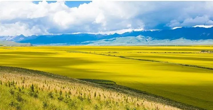 大西北经典环线游,大西北丝绸之路环线图