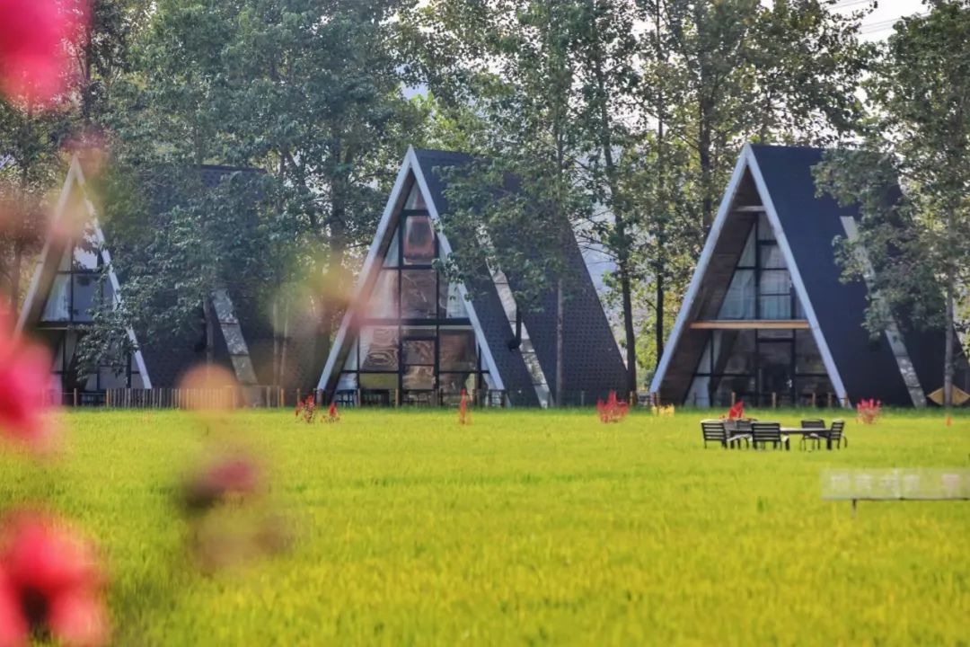 湖北黄冈旅游景点值得去的有哪些,黄冈去哪里旅游最便宜又好玩