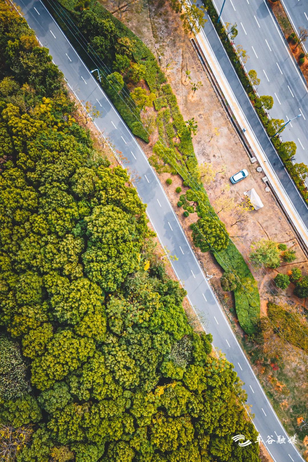 淘金山骑行绿道和东湖骑行绿道,周末绿道骑行一路都是美景