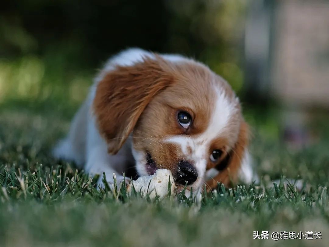 英语中例子的缩写是什么,一般举个例子用什么缩写代替