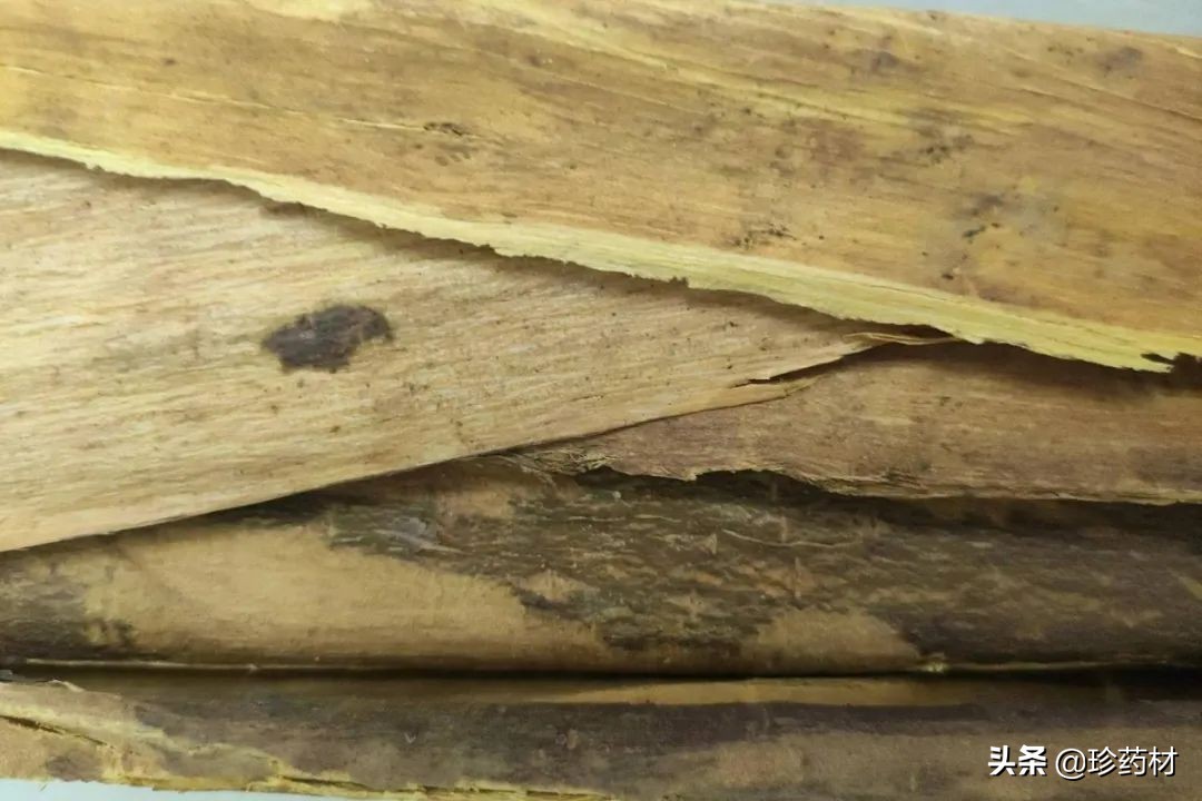 药材三黄种植前景与价格,三木药材前景