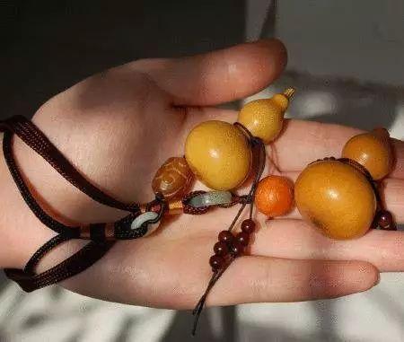 盆栽手捻葫芦种植时间和方法,室内种植手捻葫芦的最佳方法