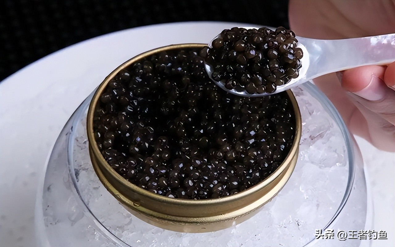 外来物种入侵鸭嘴,鸭嘴兽物种入侵