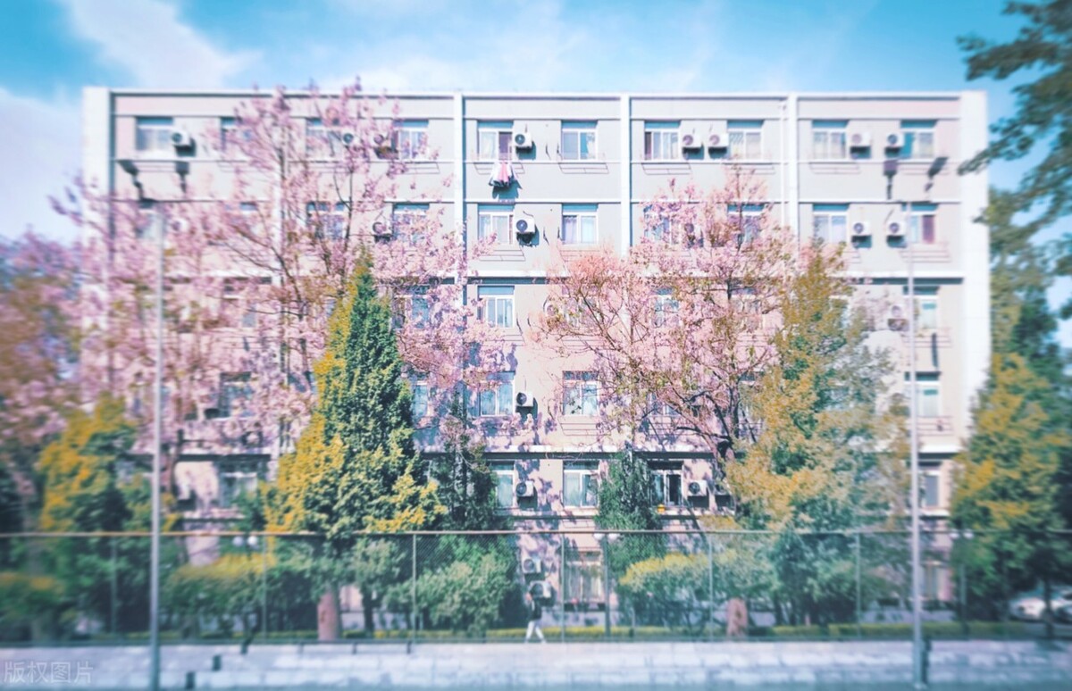 北京理工大学今年强基计划多少分,北京理工大学2021年强基计划分析