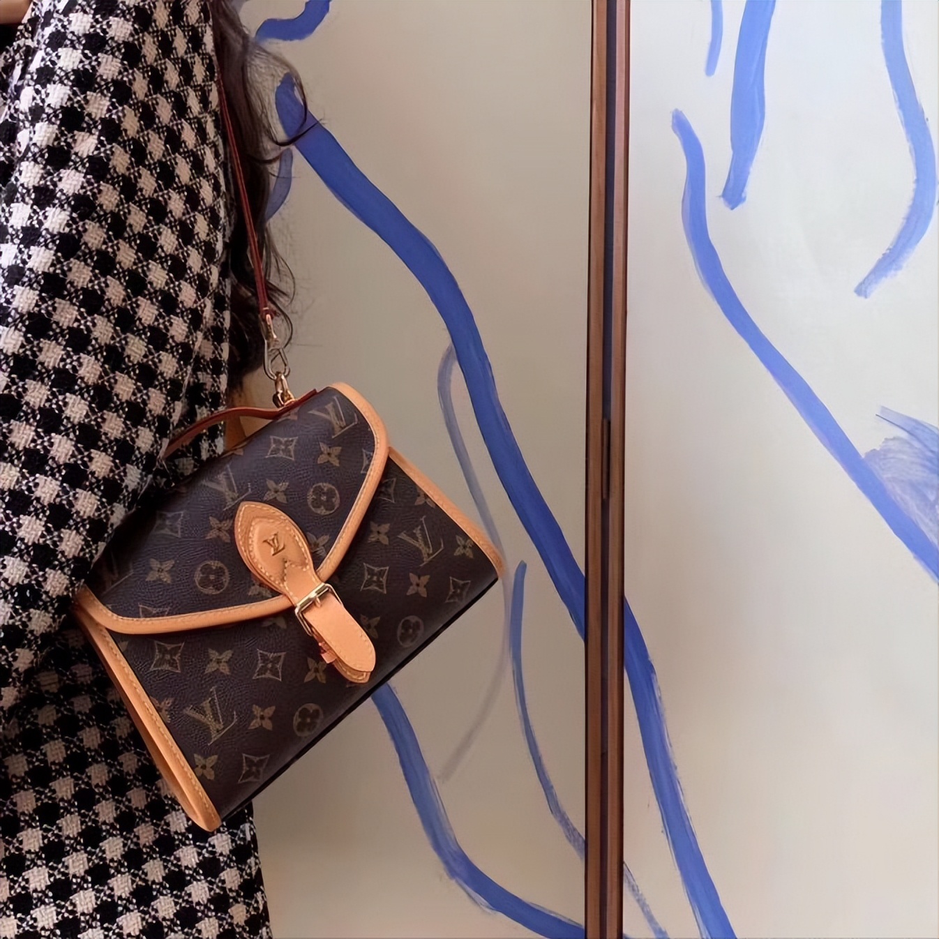 私藏十大必买小众包,lv老花中古包怎么选