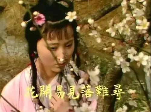 林黛玉到底是绛珠草还是潇湘妃子,林黛玉荷风竹韵