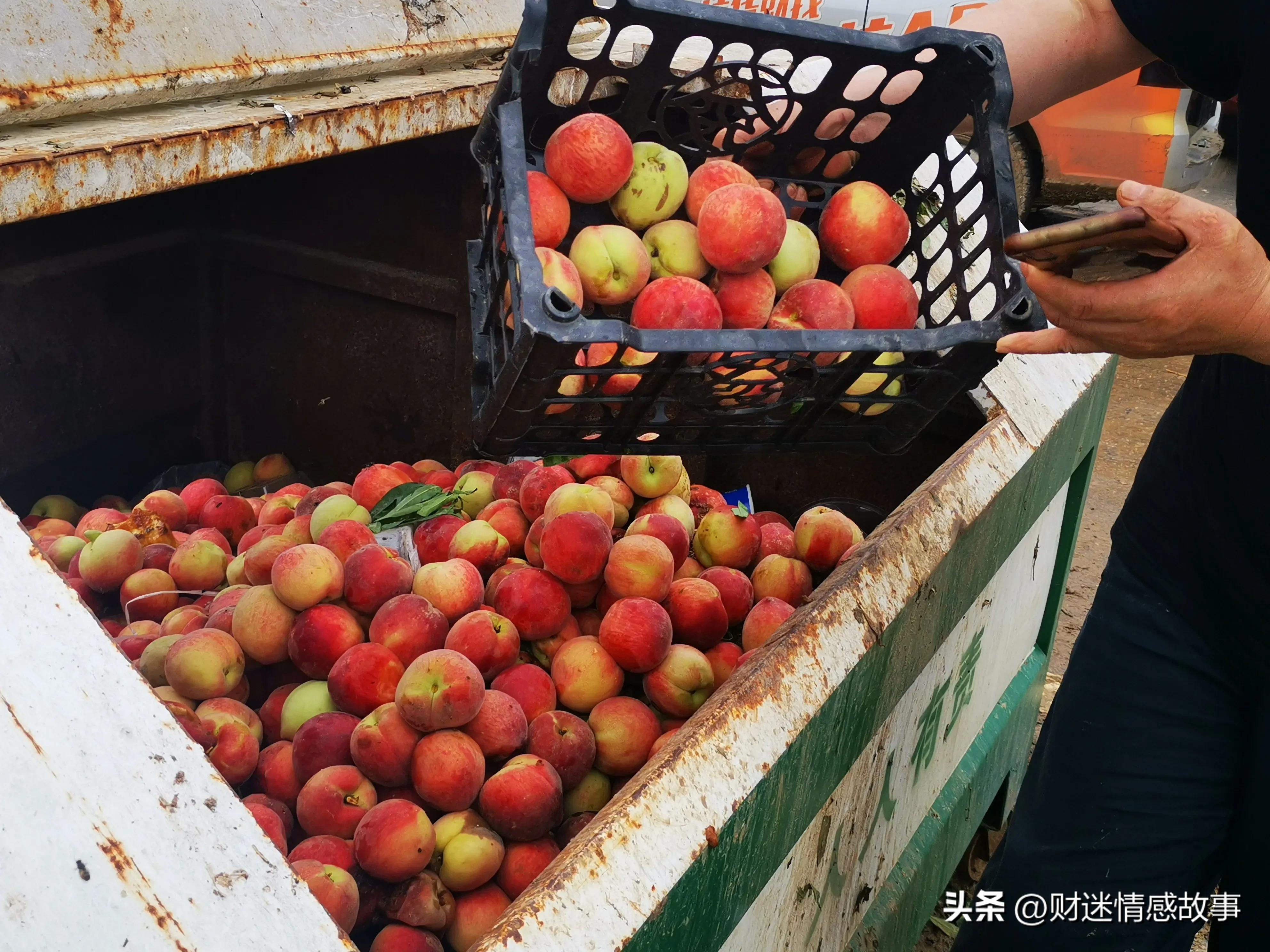 零投资空手套白狼赚钱的方法,0投资赚钱小技巧