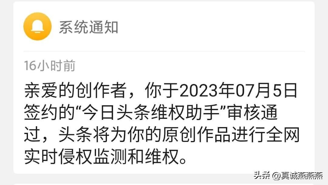 头条的创作保护在哪里,今日头条电脑端后台创作保护在哪