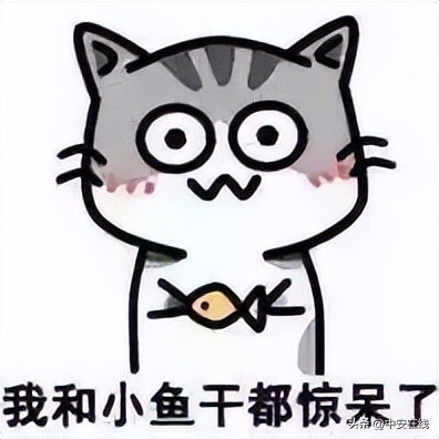 池州可以露营的湿地公园,池州户外露营地推荐