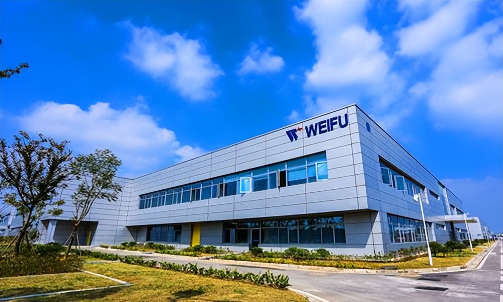 威孚高科股票基本面分析方法,对威孚高科的基本面和技术面分析