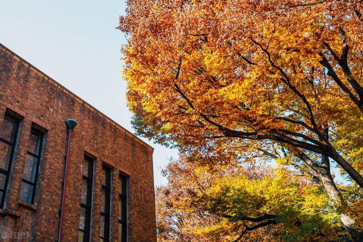 亚洲第一高校东京大学