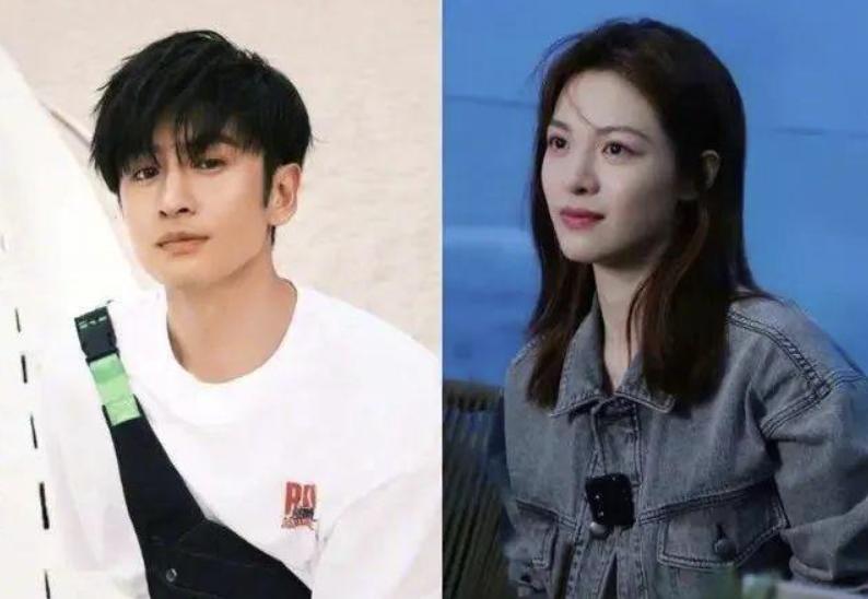 郑钧评价苗苗扮猪吃老虎,苗苗评价郑钧刘芸