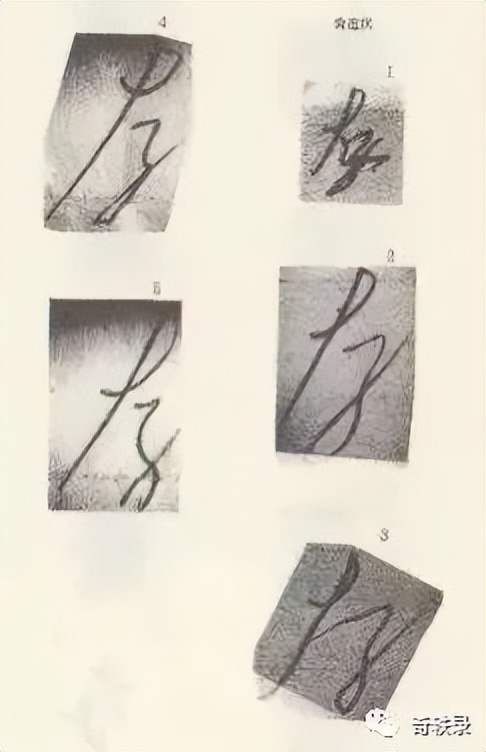 少女生日当天被绑架,案件相关人员接连死亡,日本知名悬案龙猫案