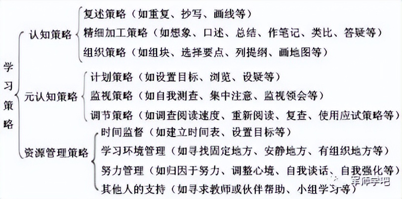 2023年小学教师资格证下半年真题,2024下半年小学教师资格证真题