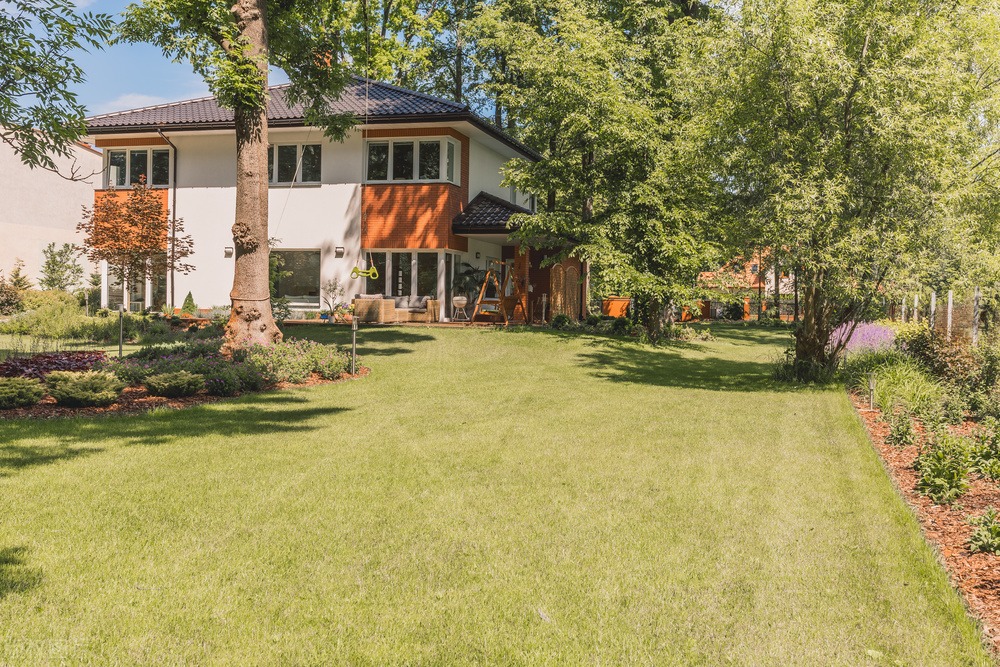 苏丹现在的状况,真实的苏丹现状