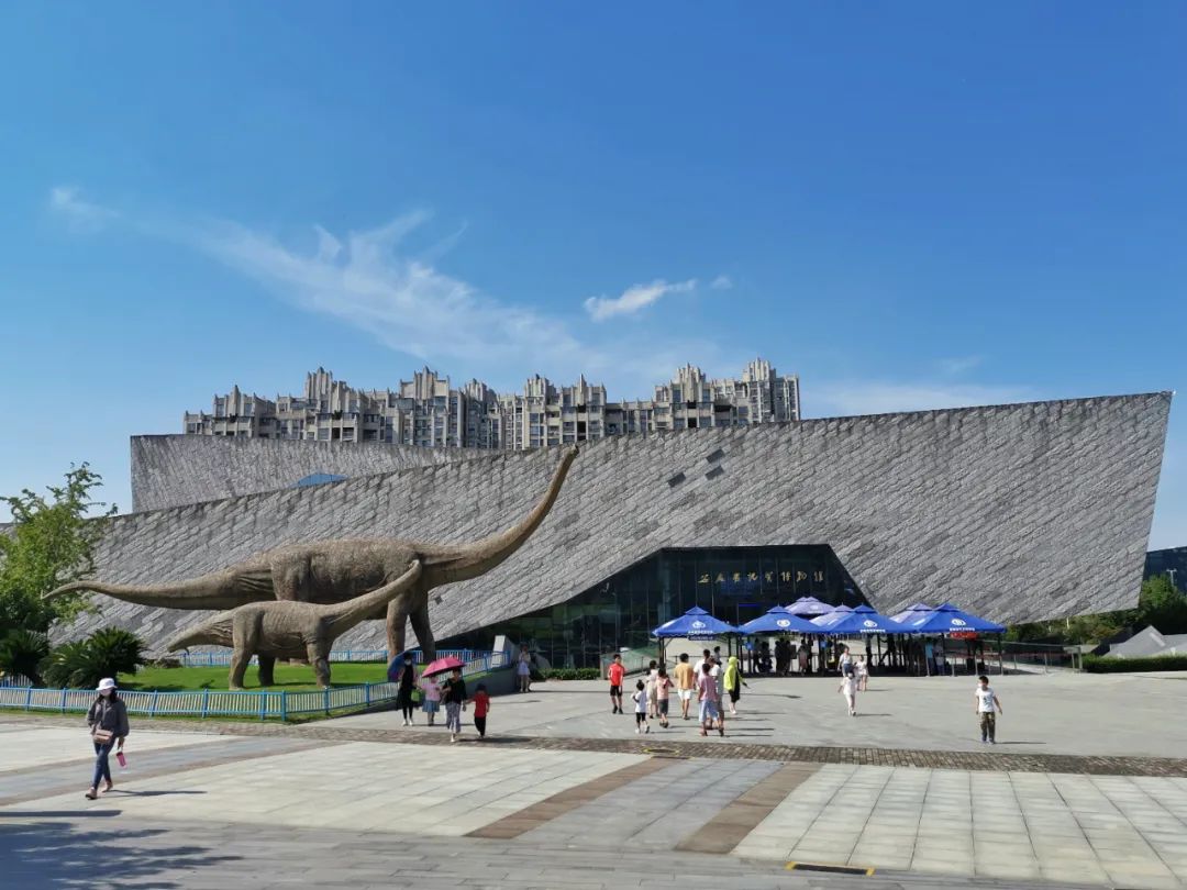 合肥景点打卡博物馆,合肥博物馆打卡视频