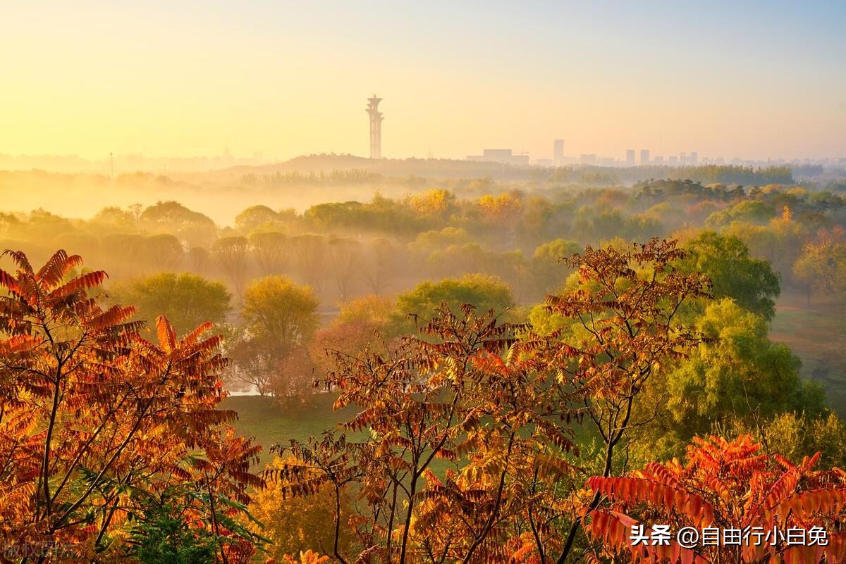 北京奥林匹克公园跑步路线图,北京奥林匹克公园游览攻略