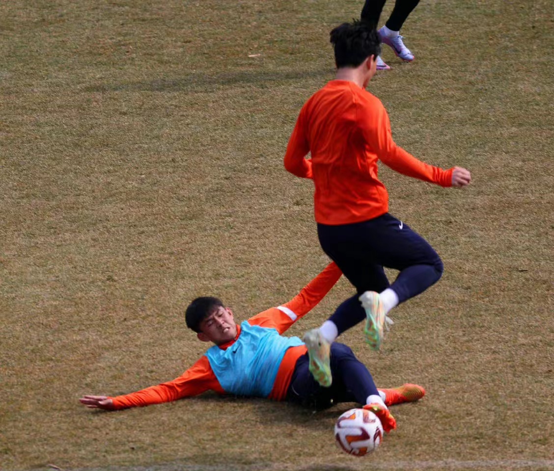 山东泰山今年球员大名单,山东鲁能泰山足球队最新名单