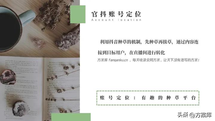 2021清风纸巾短视频代运营规划方案