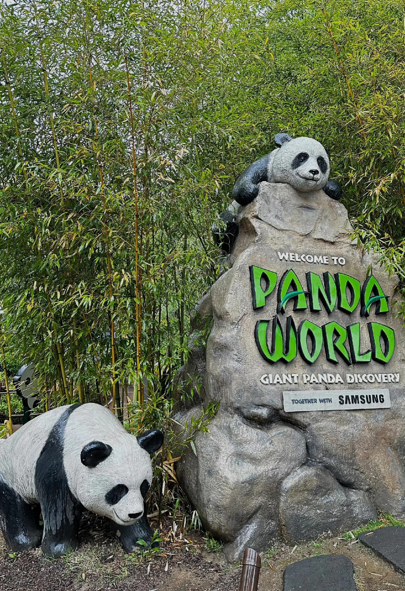 大熊猫福宝即将回国，网友提议：就养在韩国，别回来了！