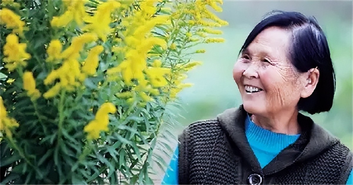 老人寻找47年初恋后续,83岁老人苦寻初恋