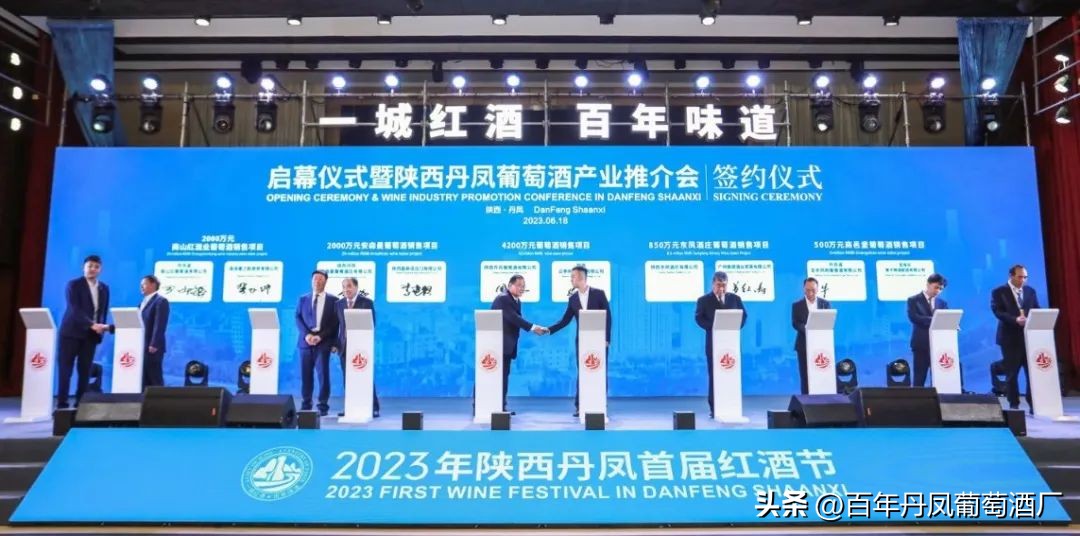 2024第五届丹凤西部红酒节,2024丹凤红酒节