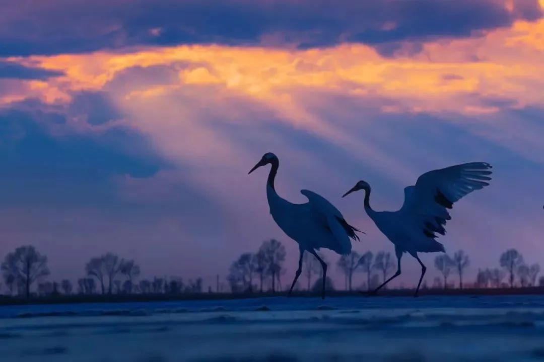 湿地可以开发什么旅游项目,黑龙江旅游必去十大湿地排名