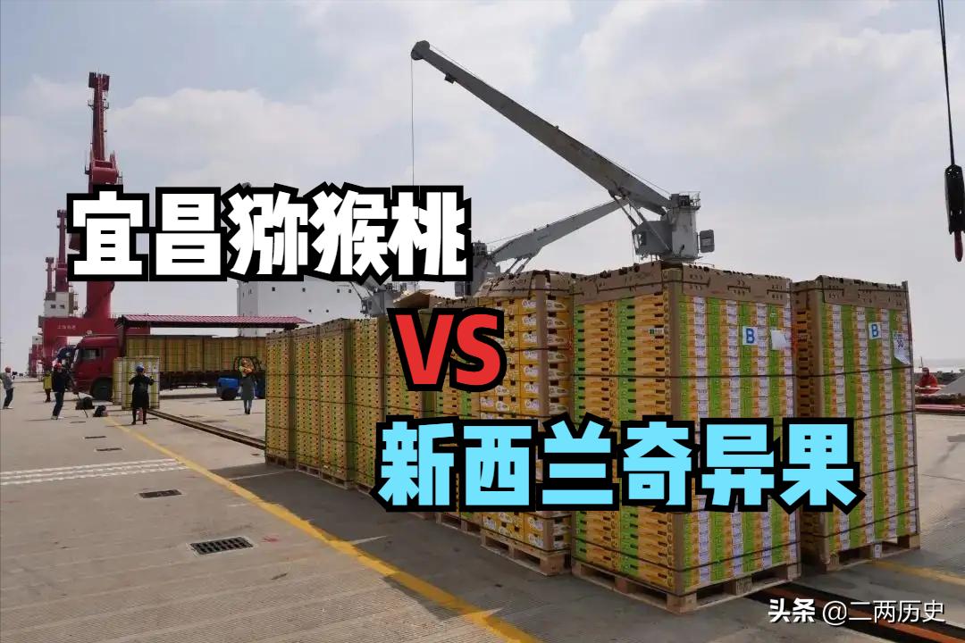 翠香猕猴桃和新西兰奇异果,新西兰猕猴桃黄金奇异果