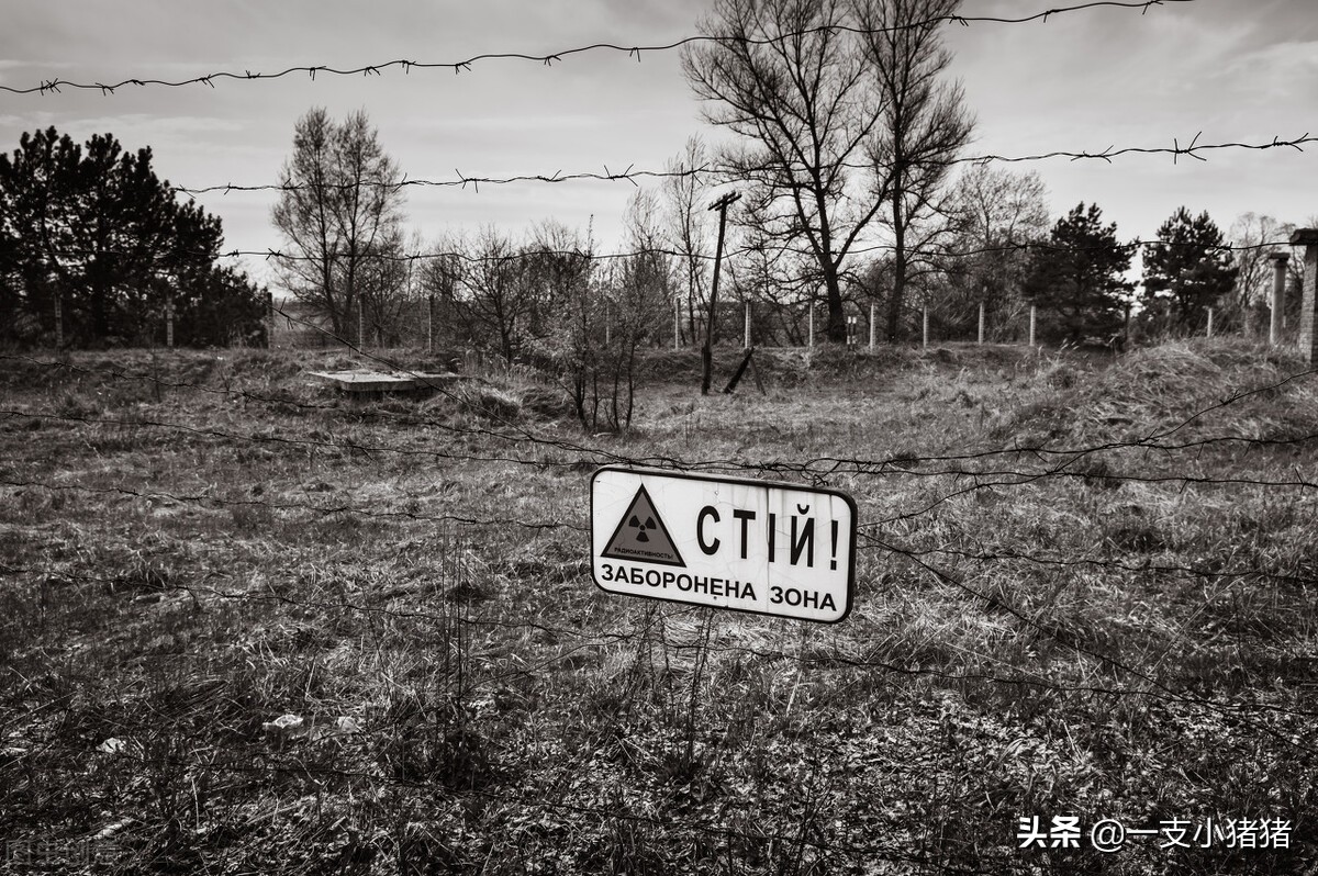 人如何预防重大疾病和意外伤害,普通人怎么预防癌症