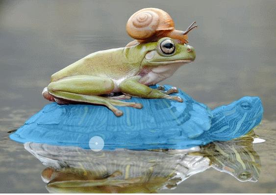 公布新定点、DriveGPT雪湖·海若宣布落地车型，毫末AIDAY干货满满