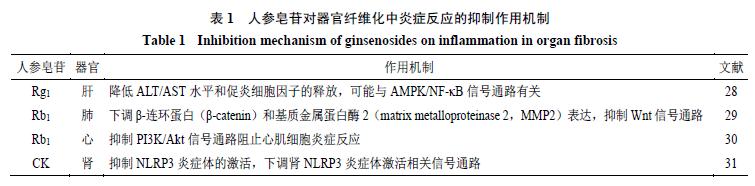 人参皂苷抗器官纤维化