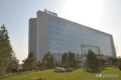 中国药企top100排名石家庄,石家庄比较好的药企