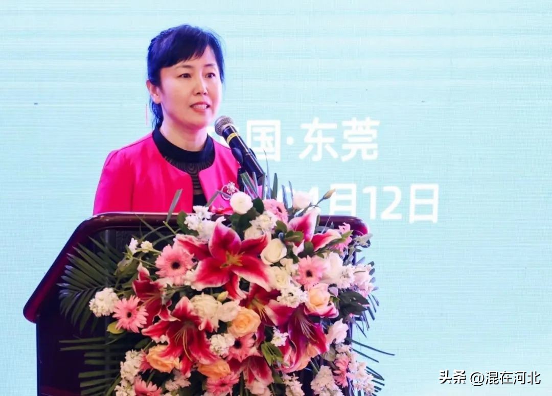 2024肃宁电商博览会,肃宁电商博览会现场