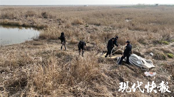 盐城海边偷猎为何屡禁不止？记者实地调查：芦苇荡里的“捞金”生意