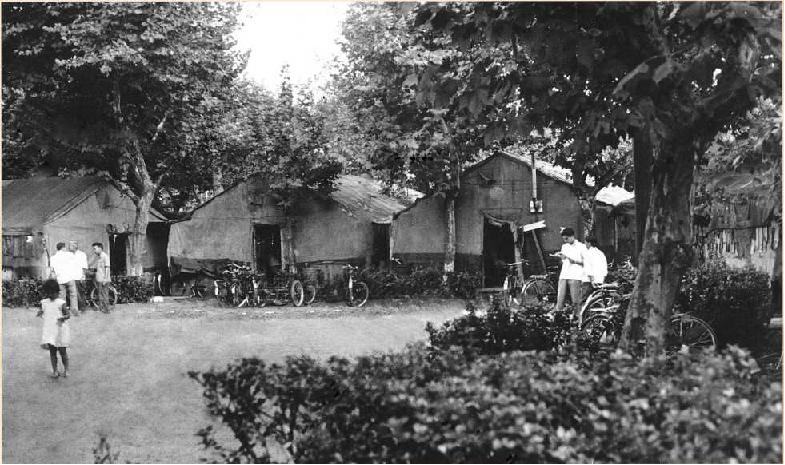 国际博物馆日期间,国际博物馆日去旅游