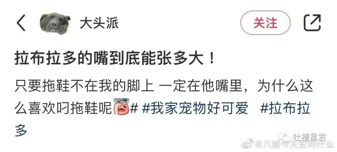 “男友花4200买Prada绿帽子？”网友笑疯：爷可以免费给别人戴