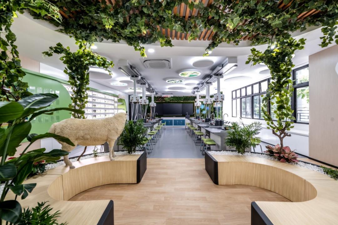 承办25高！招生规模扩3倍！这所学校还有这些变革刷新你的想象