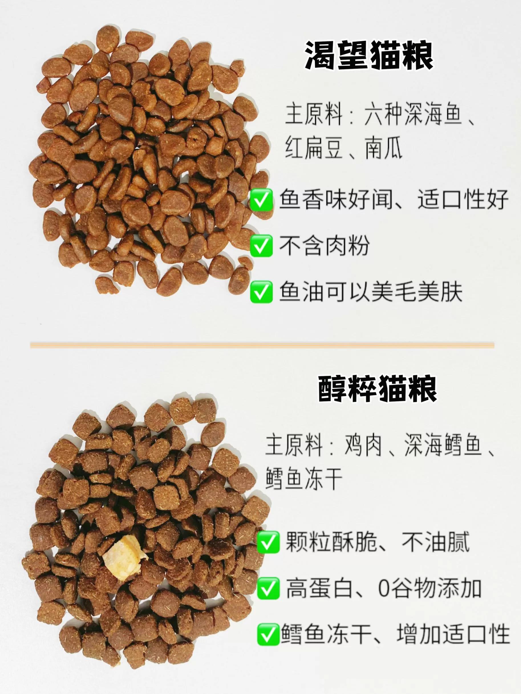 8-9个月的猫猫粮推荐,8款优质进口猫粮推荐