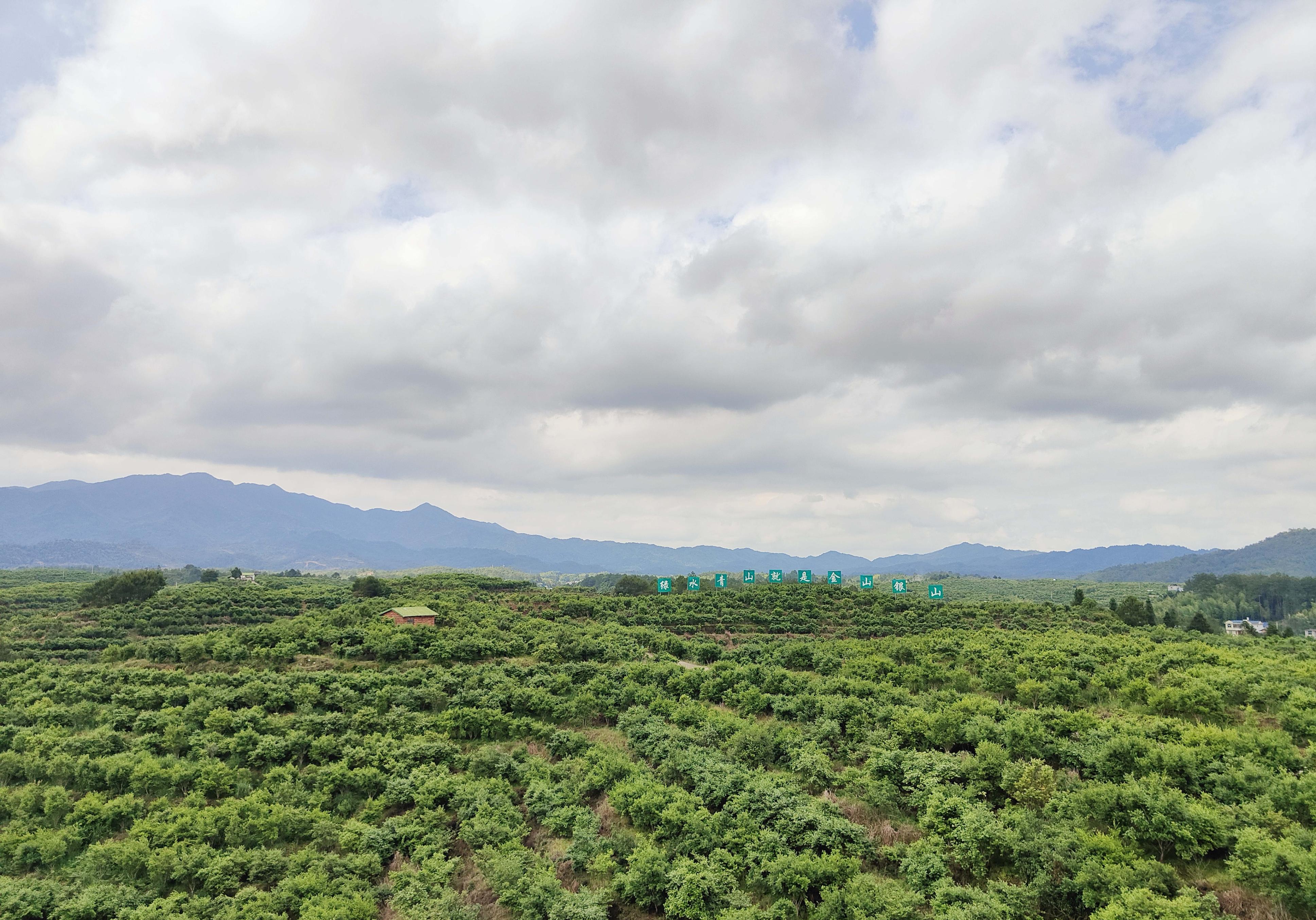 长汀县乡村振兴道路效益高,长汀振兴