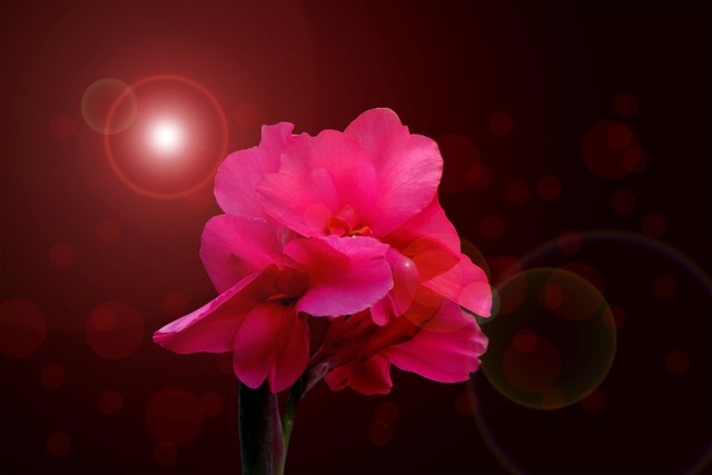 如果发现老公背叛了你怎么离婚,女人知道老公背叛了我该不该原谅