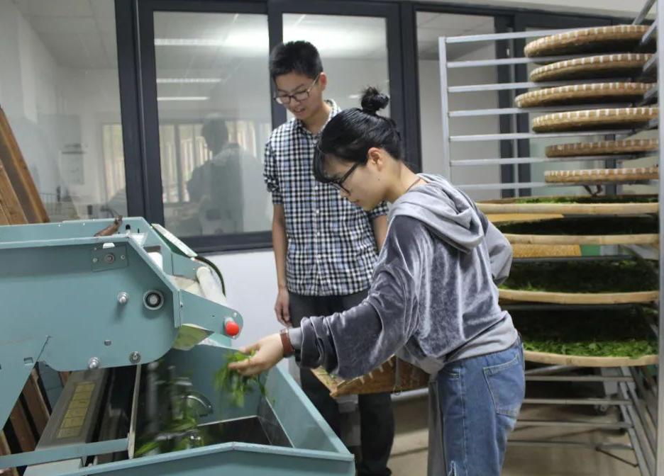 低分捡漏985大学值得吗,适合捡漏的六所985大学