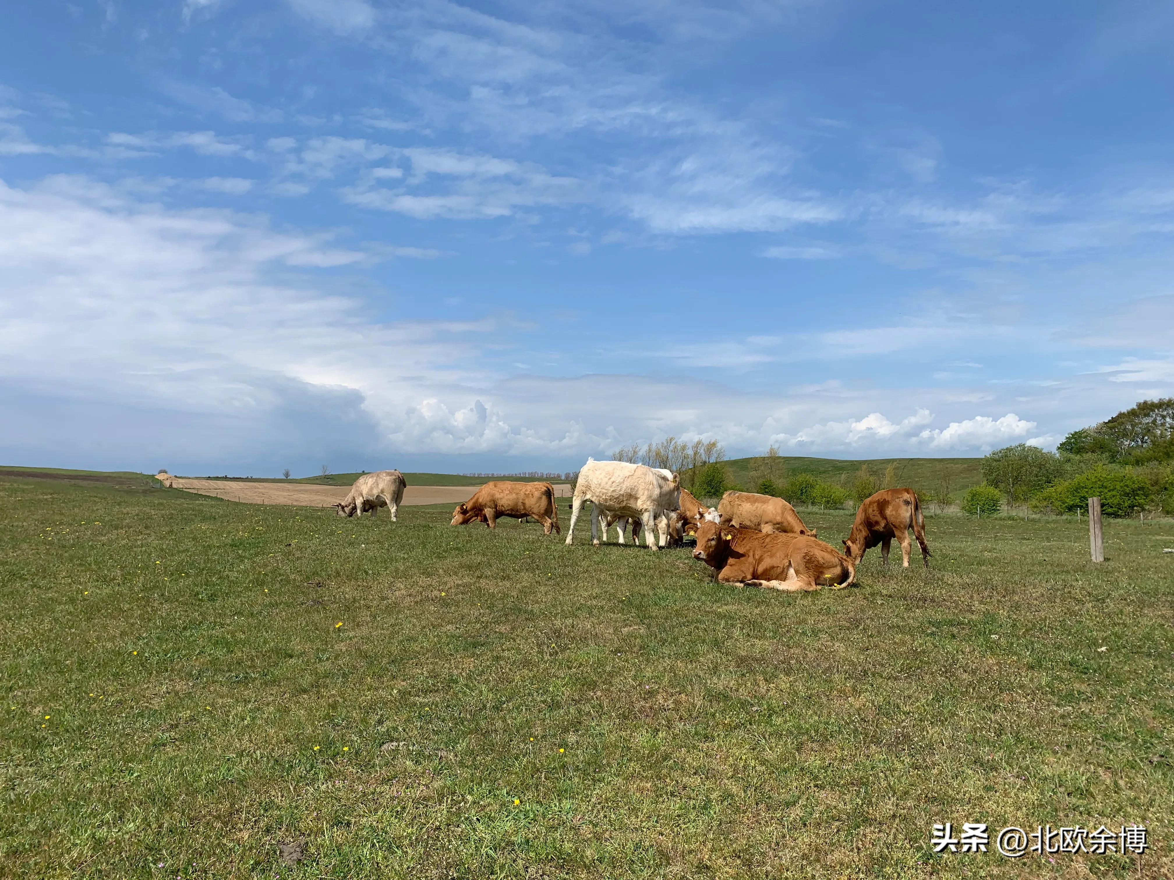 北欧五国到底哪个好,北欧五国哪个更适合生活
