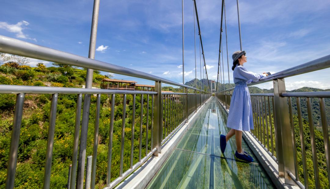 市县动态|漳州“五一”拉满“烟火气息”,文旅融合绘就“诗和远方”