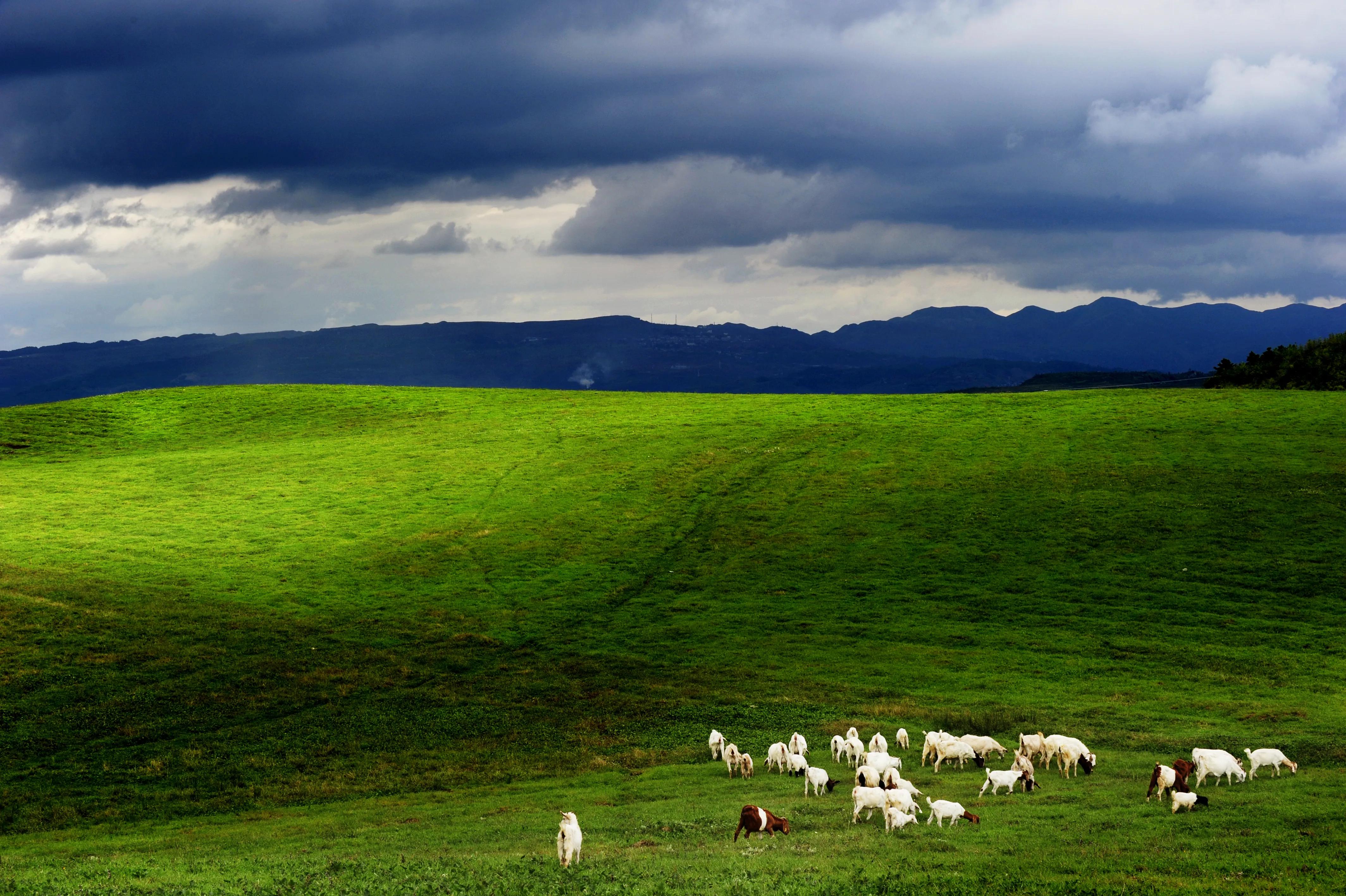 黔西南州旅游地图,贵州游览图