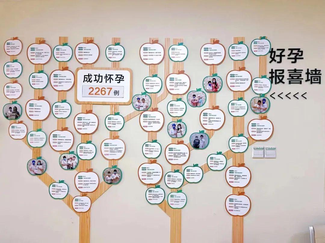 年轻为啥怀不上孕,年轻人怀不上什么原因