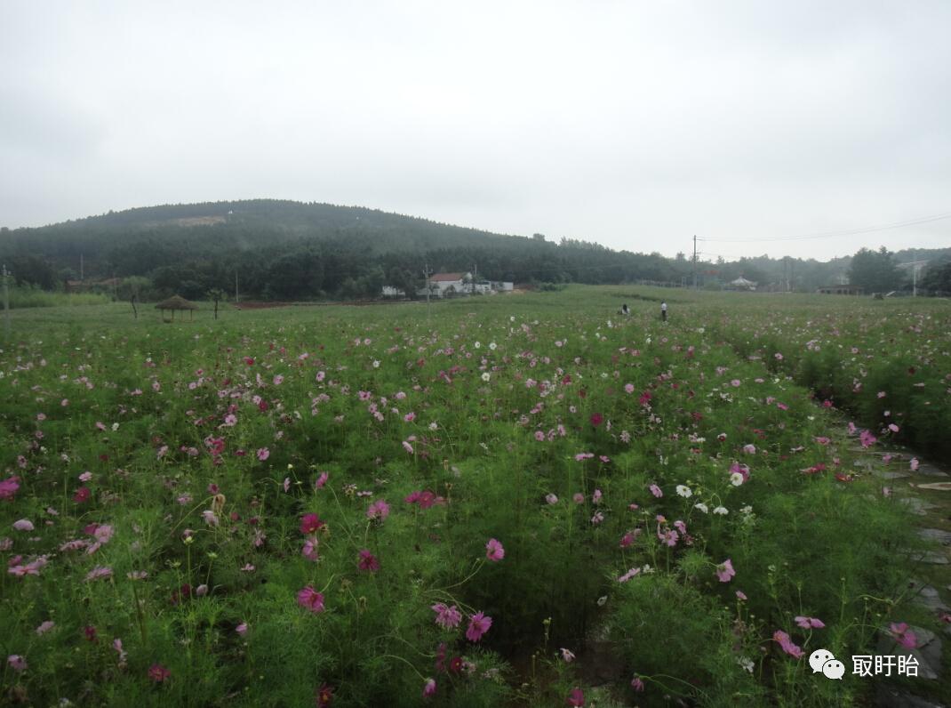 连载｜|《画说盱眙》之八：城市靓点——休闲娱乐中品味文化
