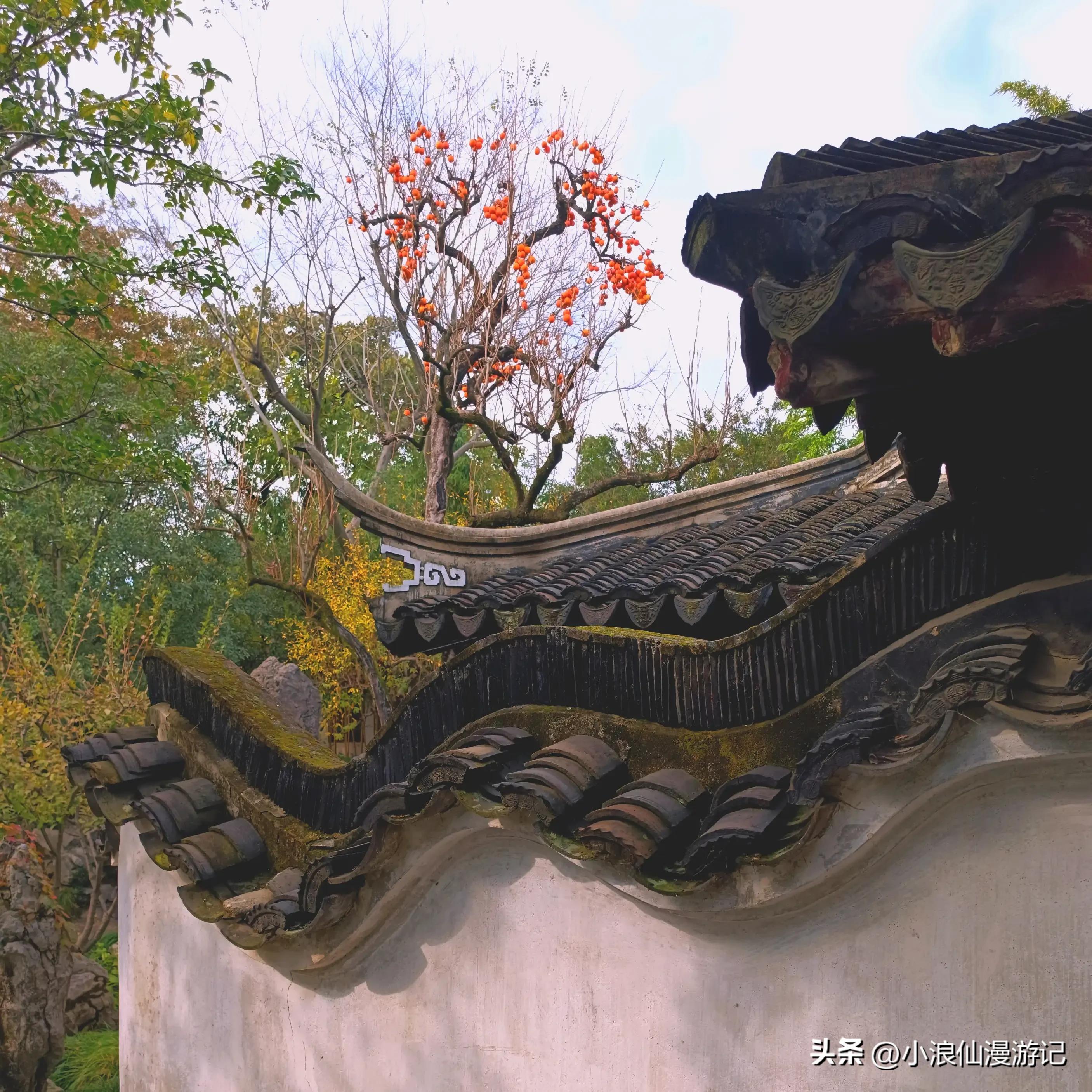 苏州园林怡园拍摄地点,苏州园林里的怡园是什么