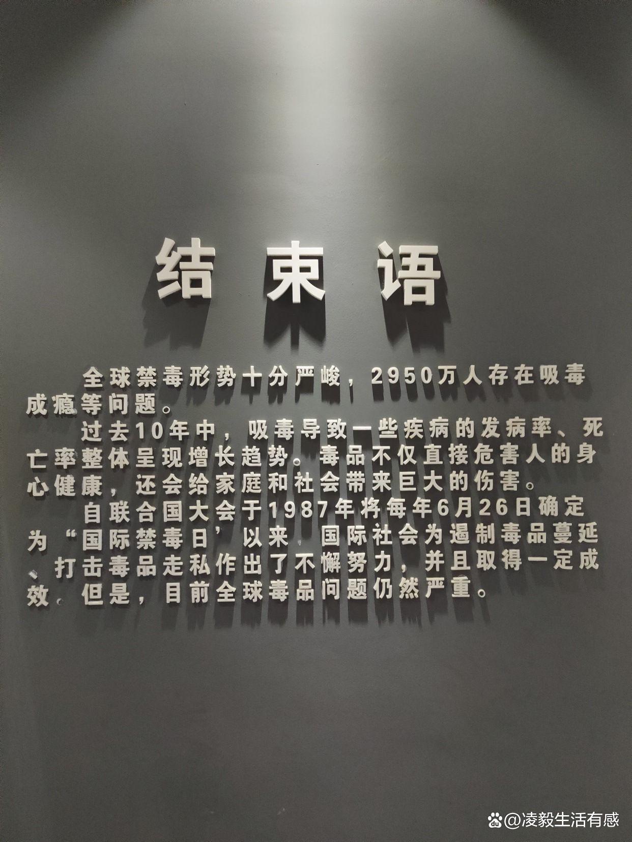 国际禁毒日为什么在6月26日,6月26日禁毒日学校活动